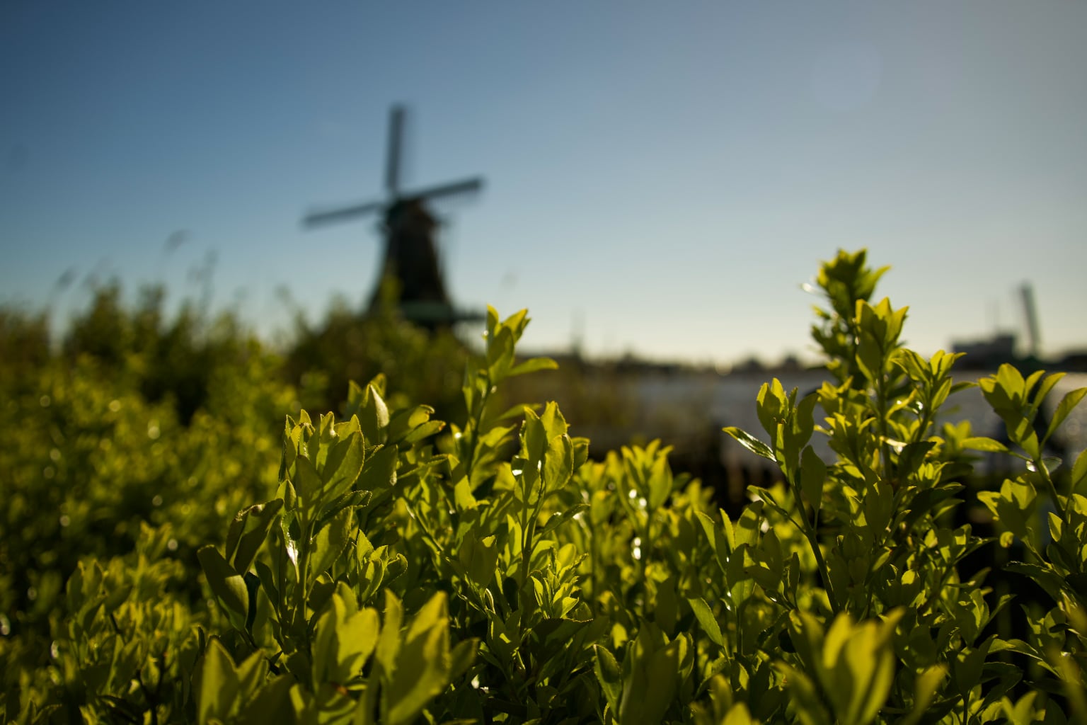 1. Windmill in Netherlands