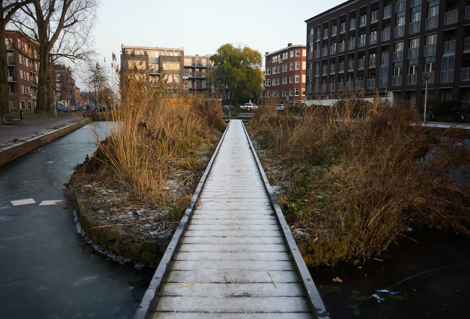 8. Frozen path